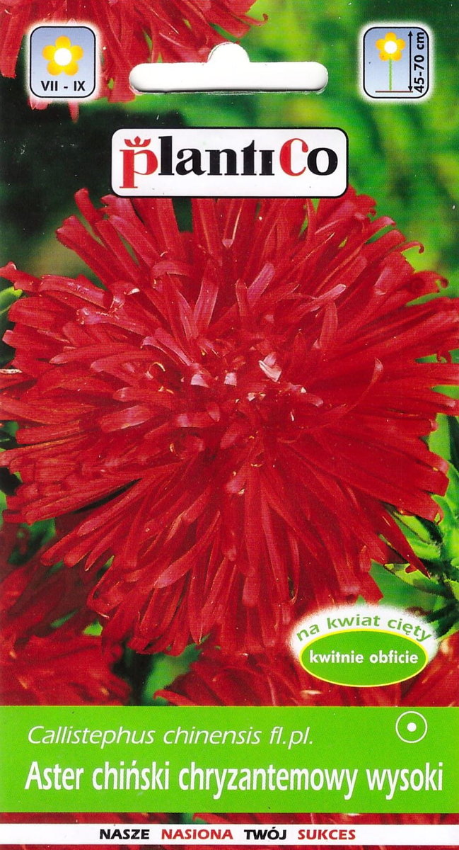Aster chiński chryzantemowy wysoki czerwony nasiona 1g PlantiCo