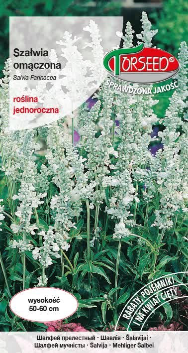 Nasiona Szałwia omączona biała 0,5g - Torseed
