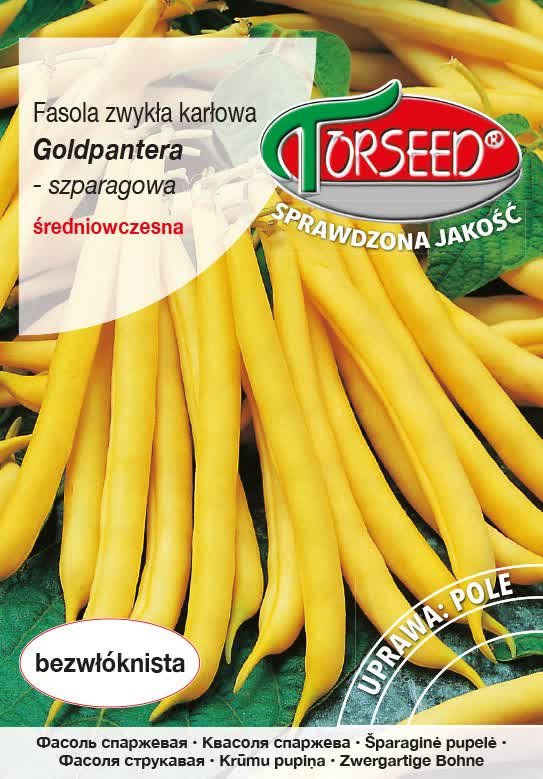 nasiona Fasola szparagowa, zwykła karłowa, Goldpantera 30g - Torseed