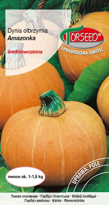 Nasiona Dynia olbrzymia Amazonka 3g - Torseed
