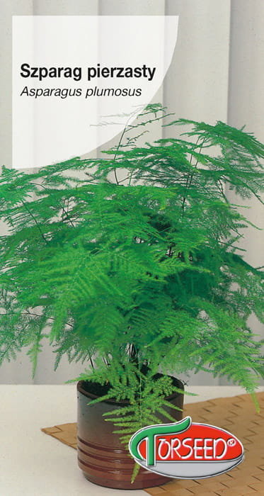 Szparag pierzasty nasiona 10 sztuk Torseed