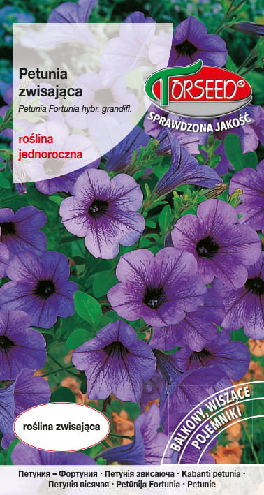 nasiona Petunia Fortunia zwisająca fioletowe 0,02g - Torseed