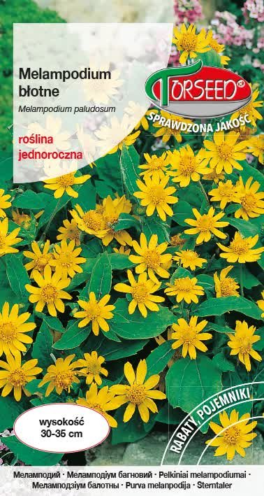 Nasiona Melampodium błotne żółte 0,3g - Torseed