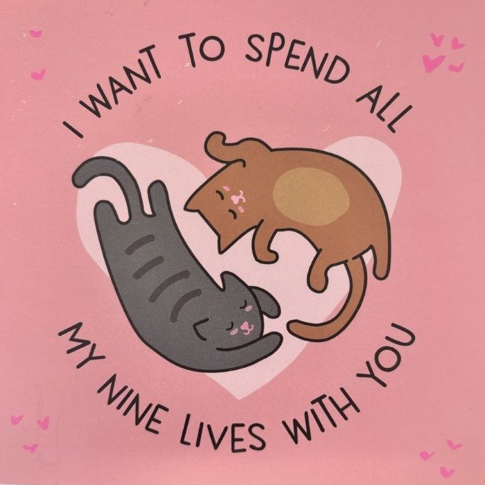Kartka walentynkowa I Want To Spend All My Nine Lives With You kotki- scribbler