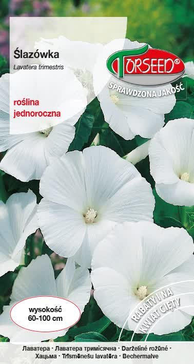 Nasiona Ślazówka ogrodowa biała - Torseed