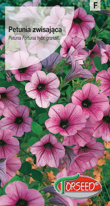 Petunia zwisająca Fortunia ciemnoróżowa nasiona 0,02g Torseed