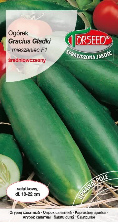 Nasiona Ogórek gruntowy sałatkowy Gracius Gładki F1 3g - Torseed