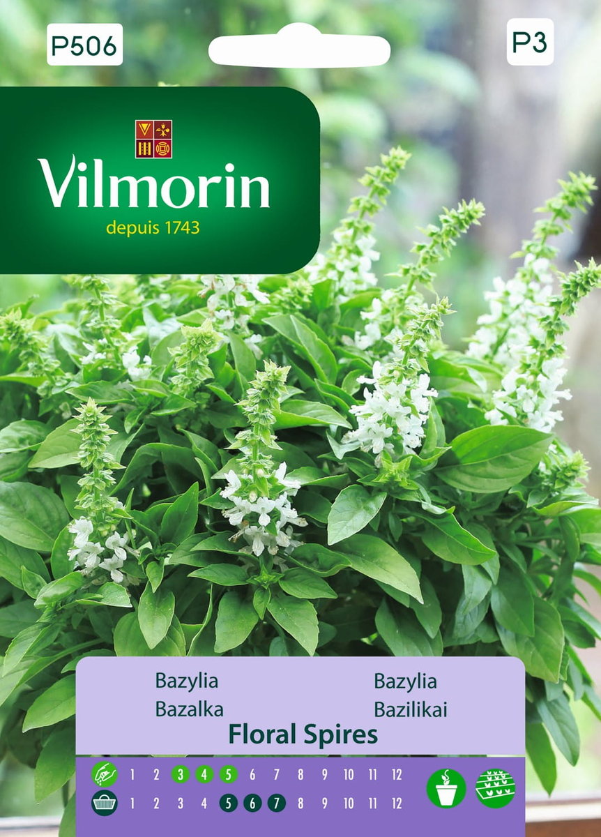 Bazylia Floral Spires o anyżowym aromacie nasiona 30 sztuk Vilmorin