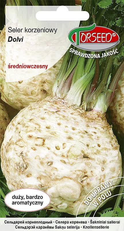 Nasiona Seler korzeniowy Dolvi 0,5g - Torseed