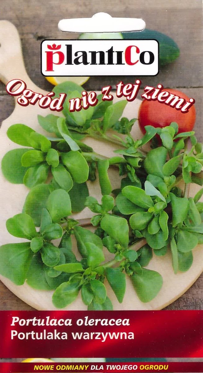 Portulaka warzywna nasiona 0,5g PlantiCo