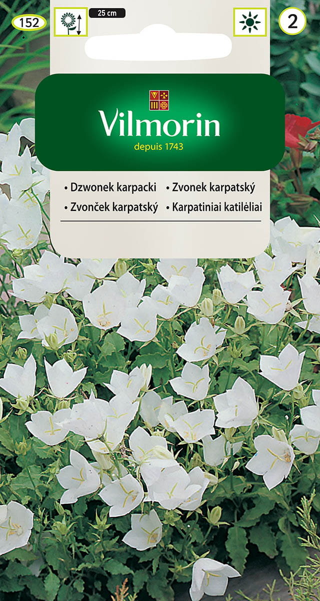 Dzwonek karpacki biały nasiona 0,5g Vilmorin
