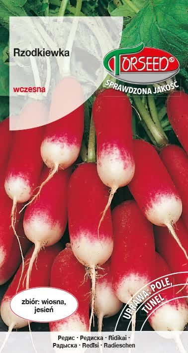 Rzodkiewka Silesia wczesna podłużna nasiona 5g Torseed