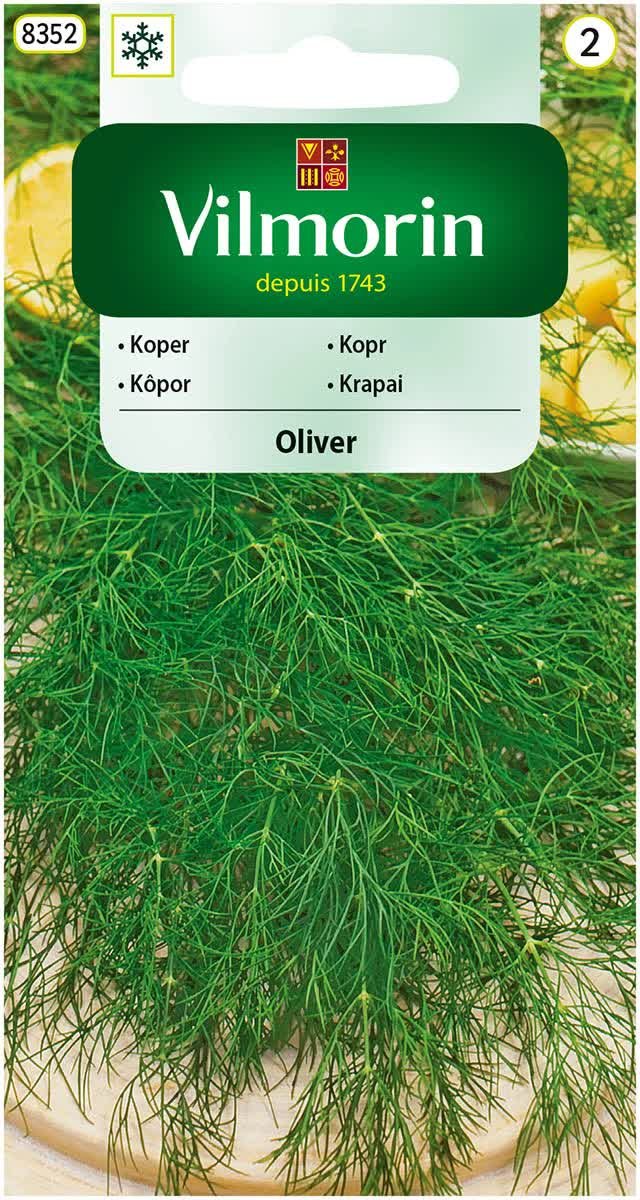 Koper Oliver bardzo plenny nasiona 5g Vilmorin