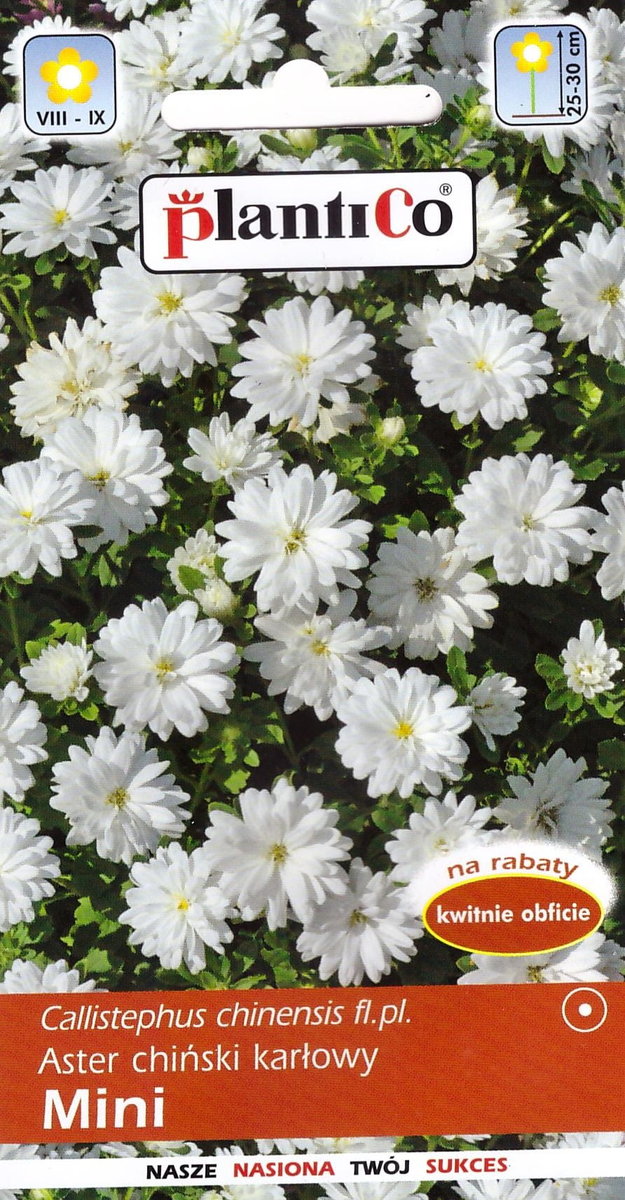 Aster chiński karłowy Mini biały nasiona 1g PlantiCo