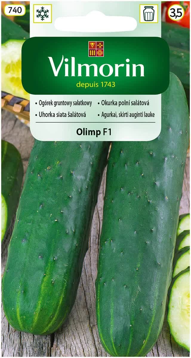 Ogórek sałatkowy Olimp F1 bardzo plenny nasiona 5g Vilmorin