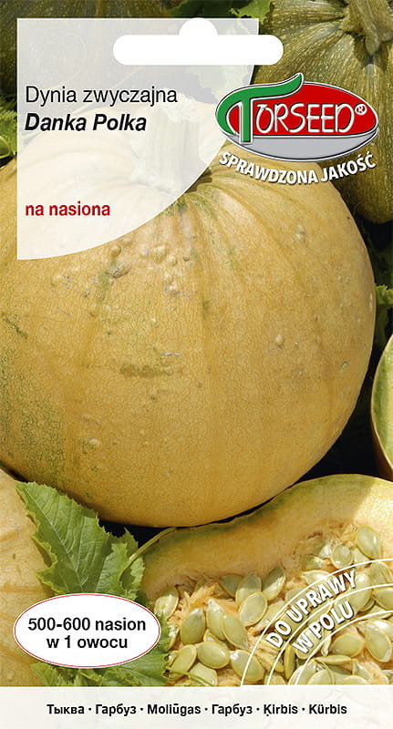 Nasiona Dynia zwyczajna - na nasiona Danka Polka 3g - Torseed