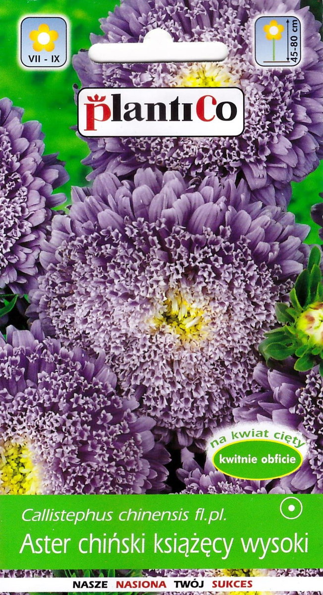 Aster chiński książęcy wysoki fioletowy nasiona 1g PlantiCo