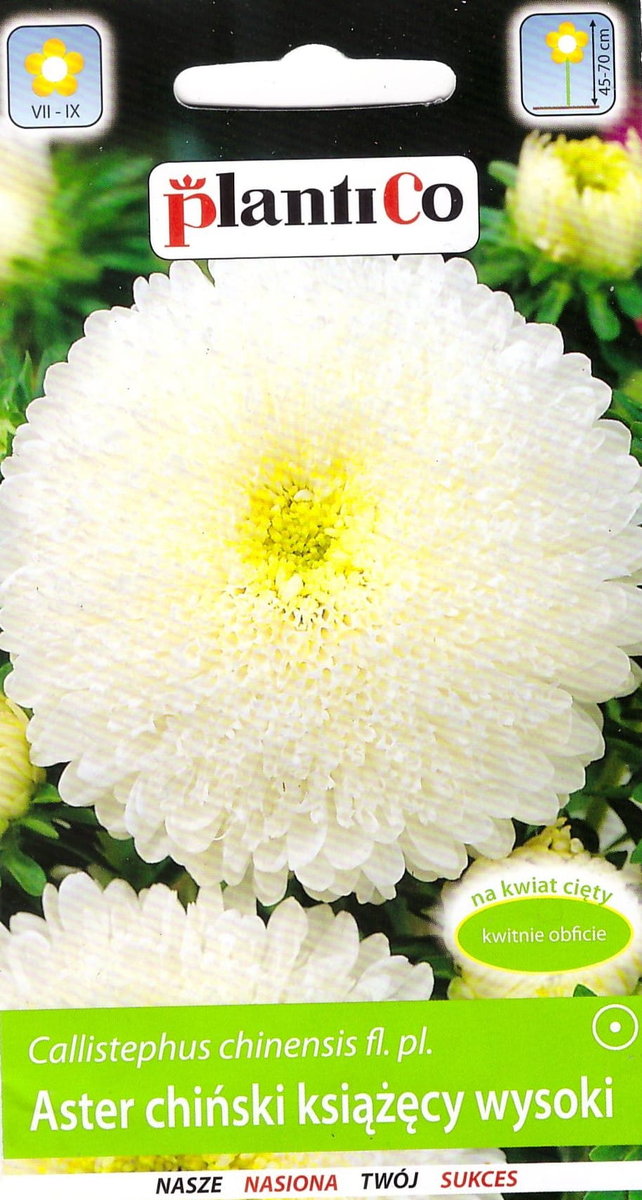 Aster chiński książęcy wysoki biały nasiona 1g PlantiCo