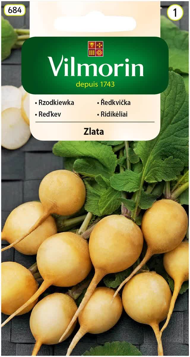 Rzodkiewka żółta Zlata nasiona 5g Vilmorin