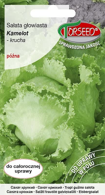 Nasiona Sałata głow krucha (do upr.w tunelu i w polu) Kamelot 0,5g - Torseed