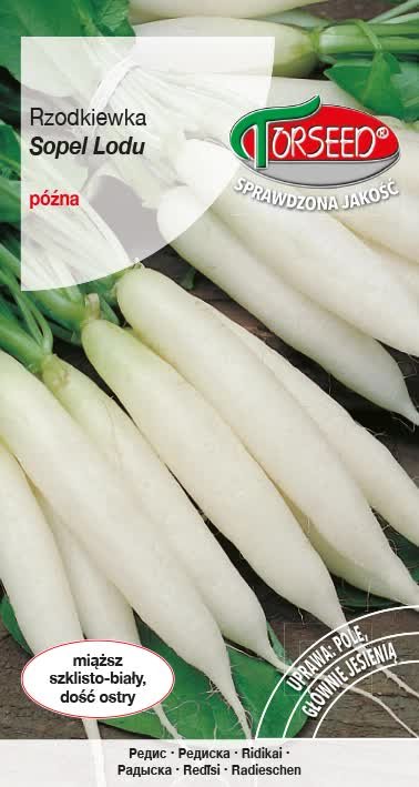 Nasiona Rzodkiewka (do uprawy w polu) Sopel Lodu 10g - Torseed