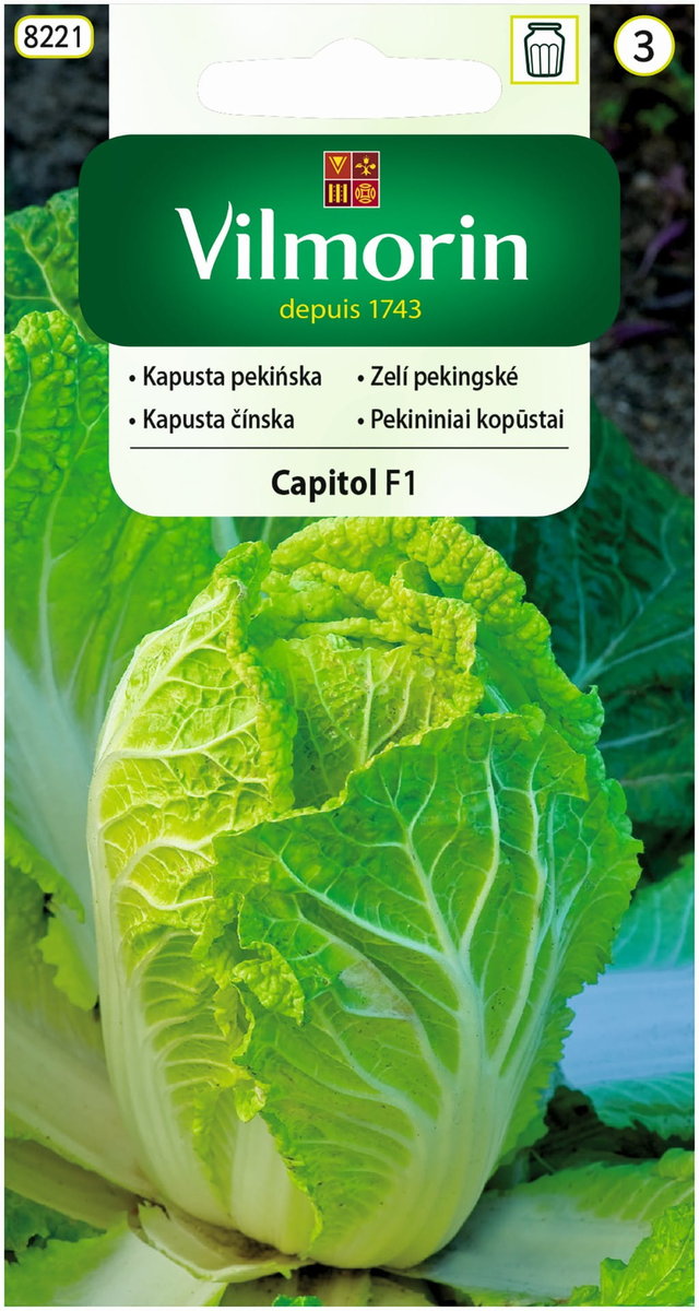 Kapusta pekińska Capitol F1 nasiona 0,5g Vilmorin
