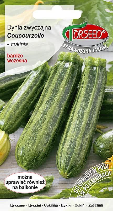 Nasiona Dynia zwyczajna - Torseed