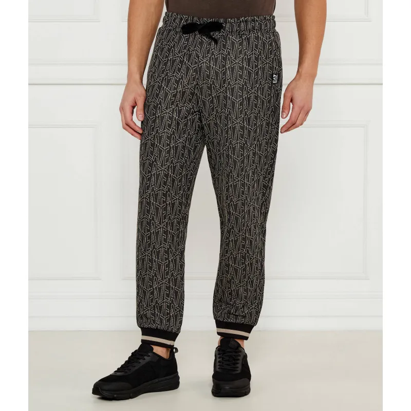 EA7 Spodnie dresowe | Regular Fit