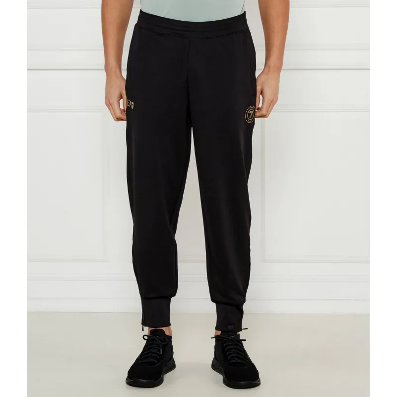 EA7 Spodnie dresowe | Regular Fit