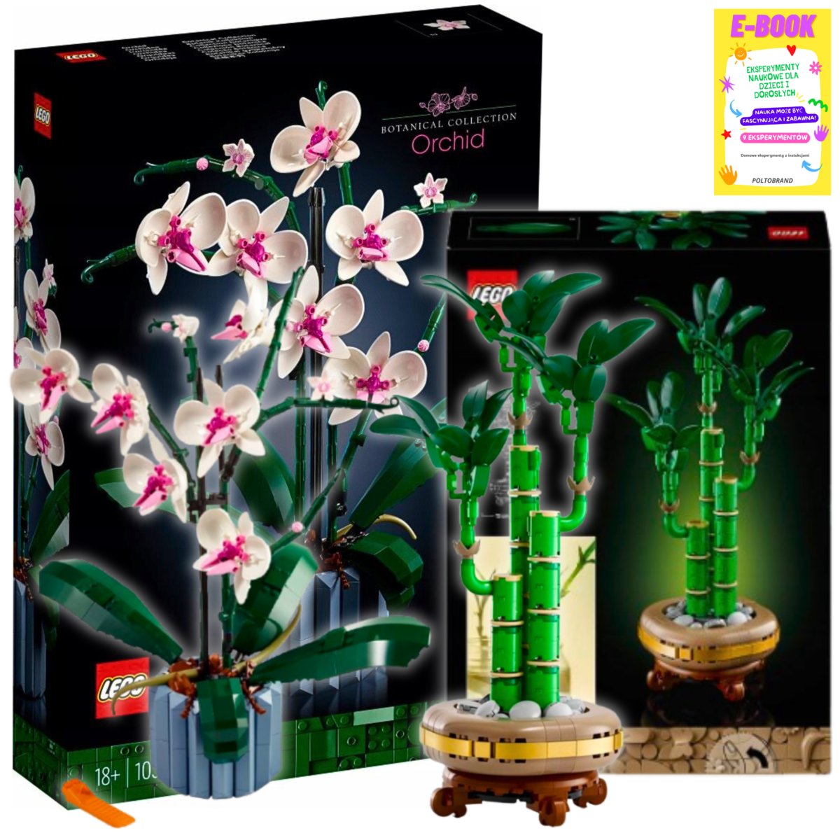 LEGO Zestaw Botanicals ICONS - ORCHIDEA DUŻA i BAMBUS KLOCKI KWIATY PREZENT + EBOOK