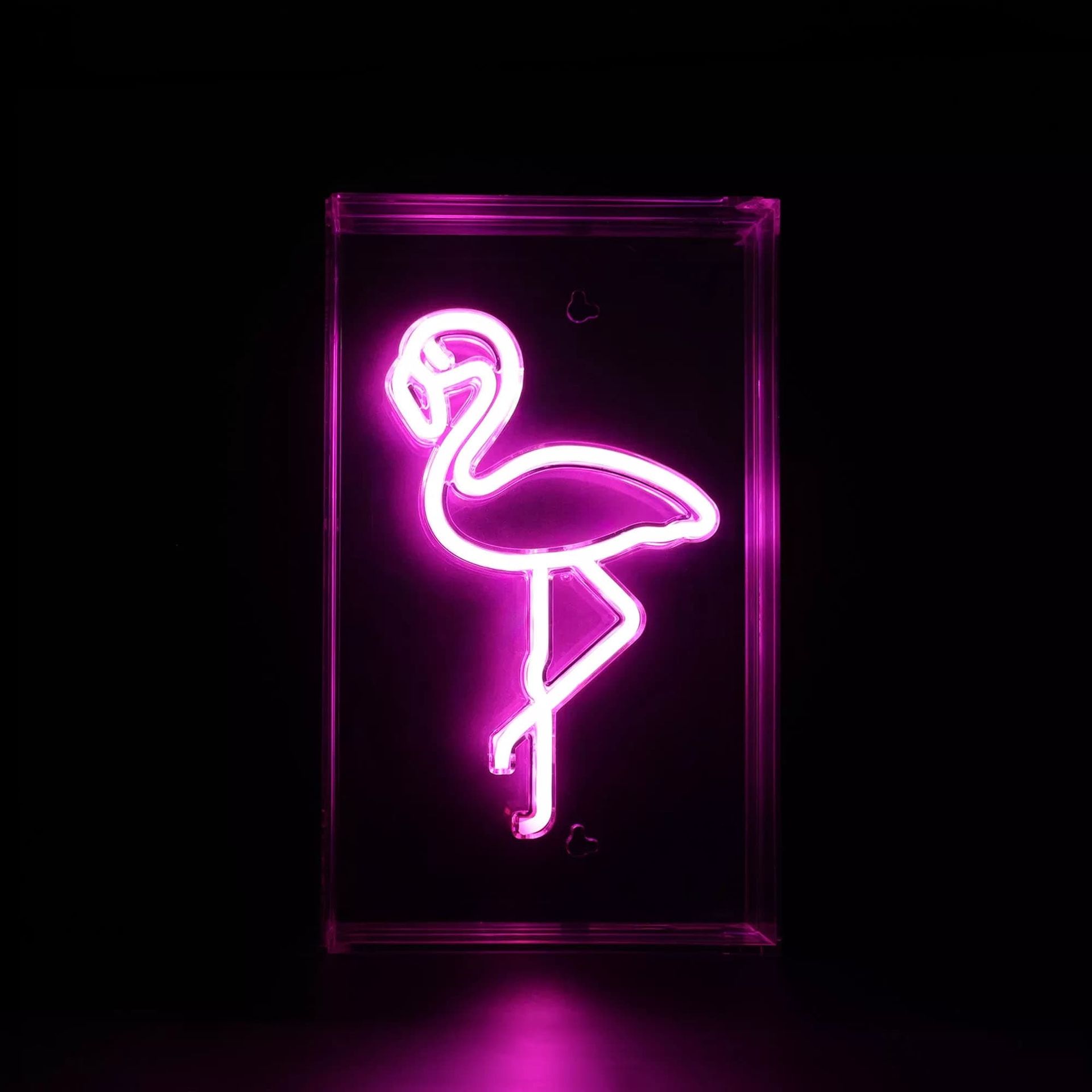 Neonowa lampa stołowa, flaming LED FM-WN33 z serii NEON