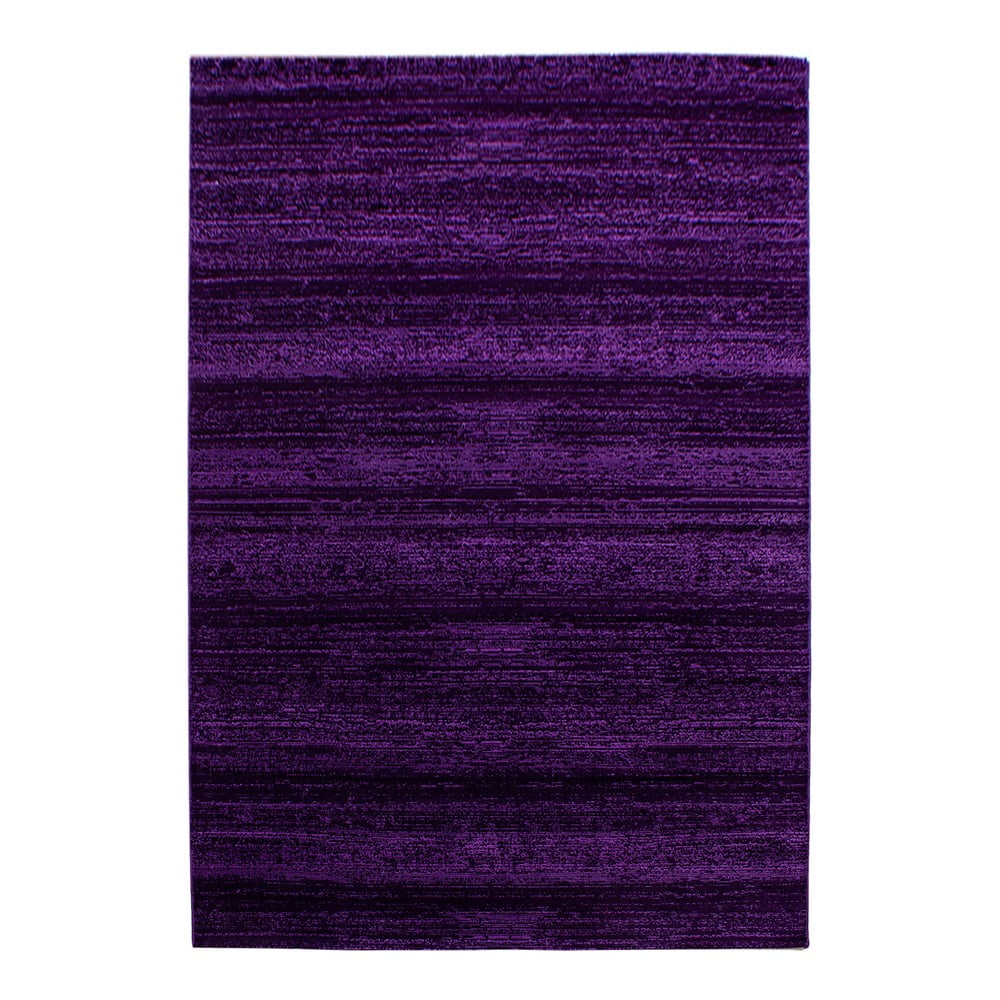 Ciemnofioletowy dywan 160x230 cm Plus – Ayyildiz Carpets