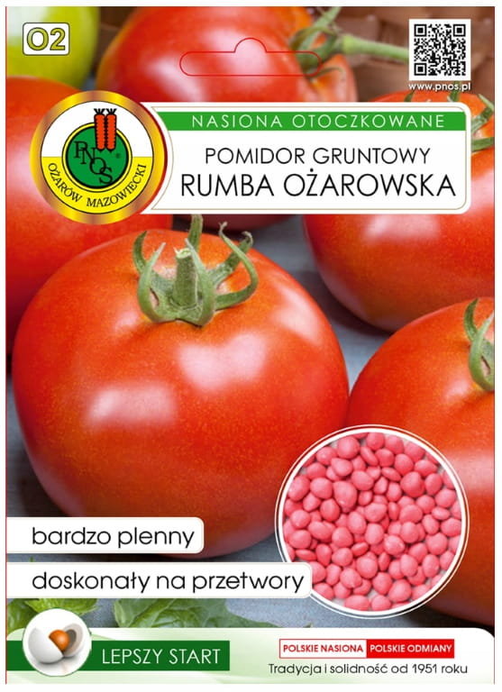 Pomidor Rumba Ożarowska 100 nasion wczesna odmiana o mięsistym miąższu