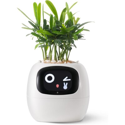 Doniczka inteligentna PLANTSIO IVY Wi-fi Biały