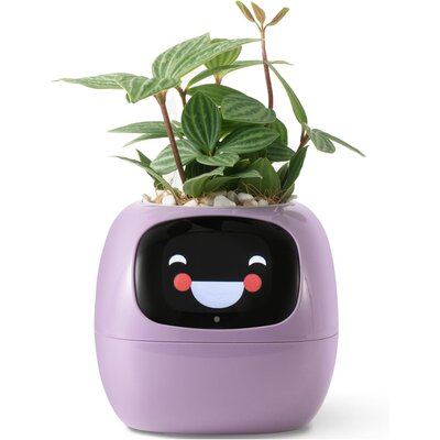 Doniczka inteligentna PLANTSIO IVY Wi-fi Fioletowy