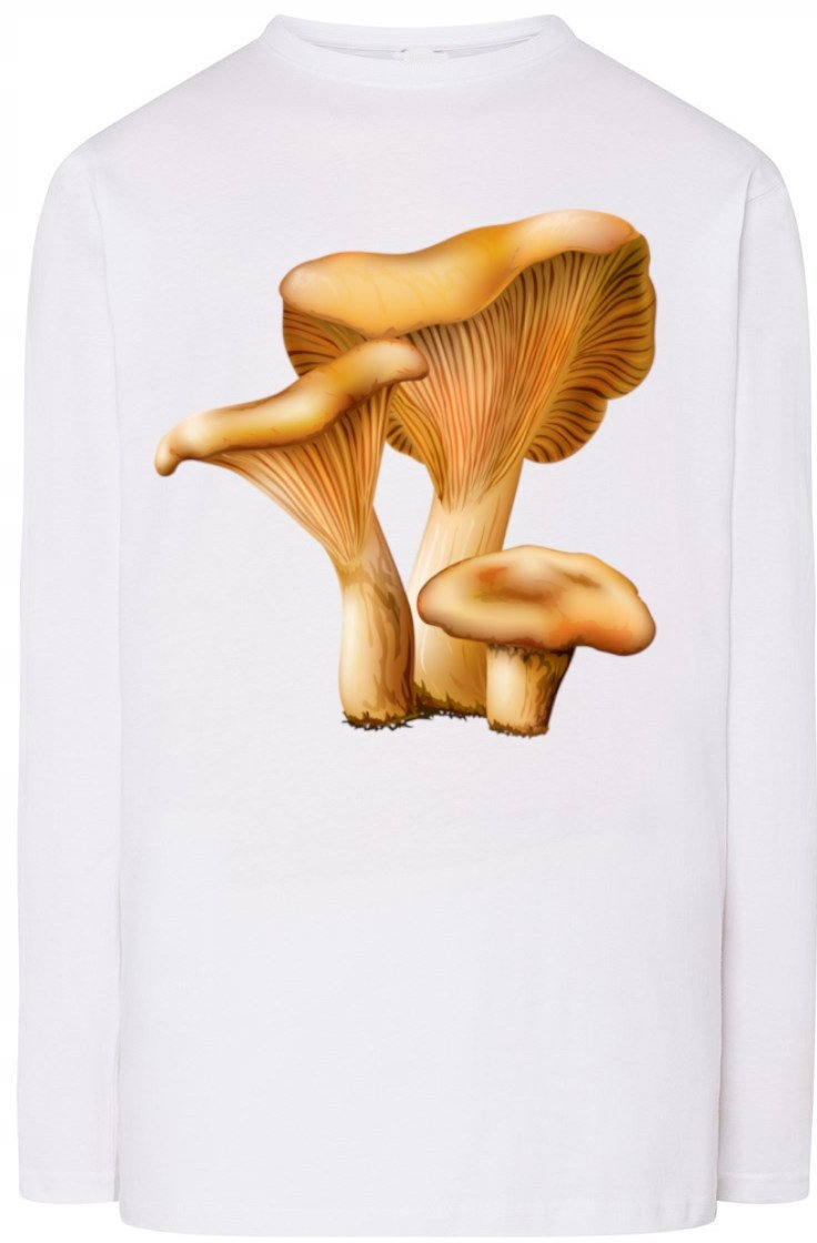 Rydz Grzyby Męska Bluza Longsleeves Rozm.3XL