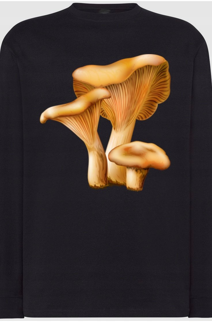 Rydz Grzyby Męska Bluza Longsleeves Rozm.XS