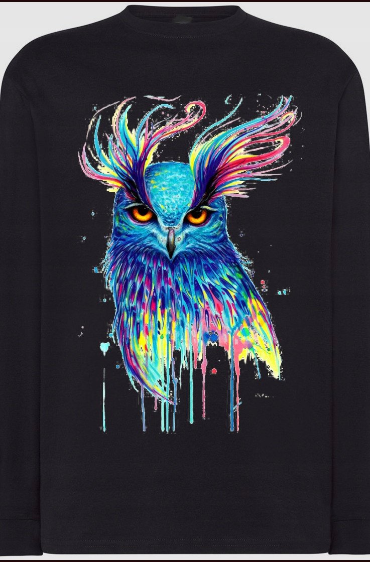 Sowa kolorowa Męski Longsleeve Modny Rozm.XS
