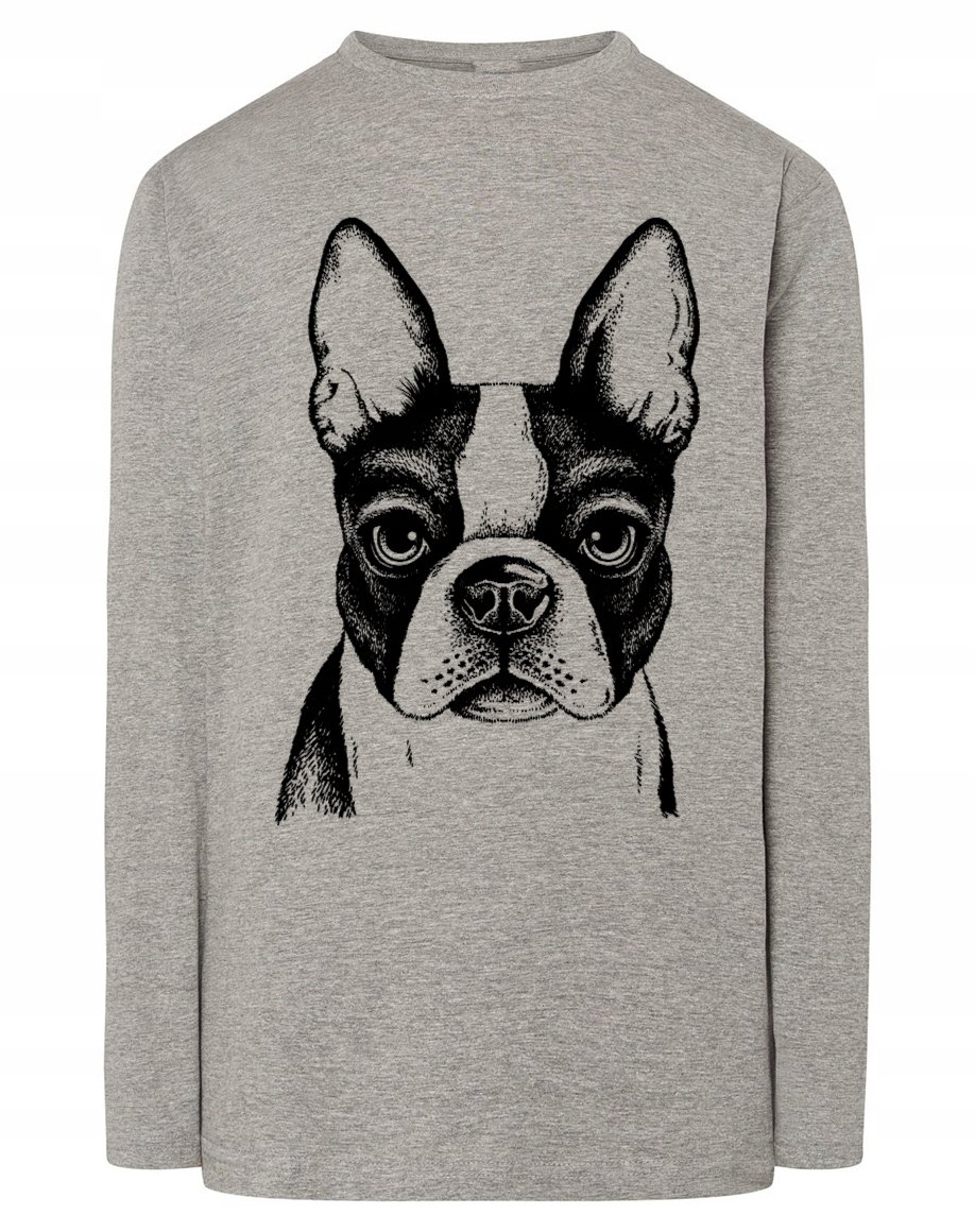 Longsleeve męski nadruk pies Boston Terrier r.5XL
