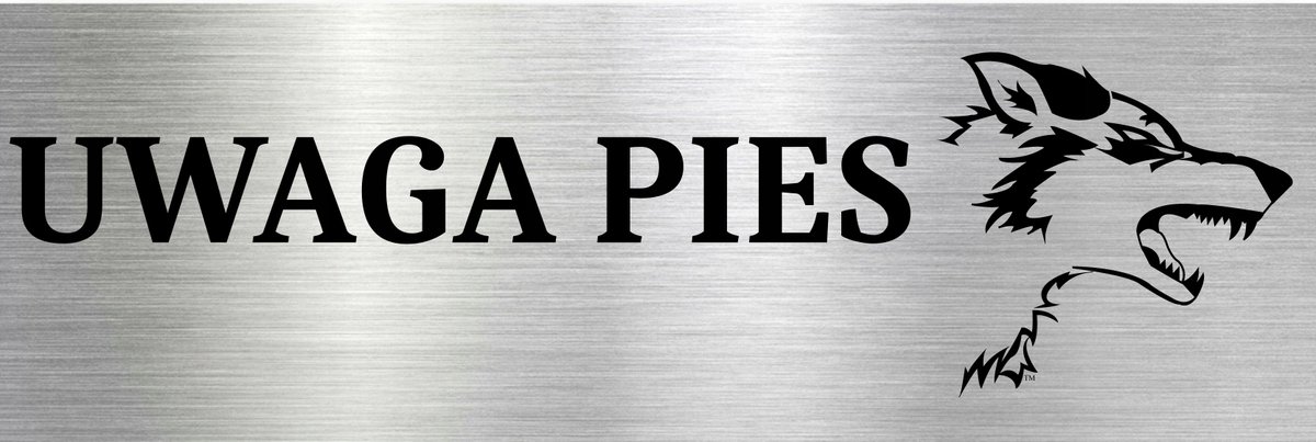 Tabliczka aluminiowa Informacyjna 15x10 Uwaga Pies Nierdzewna