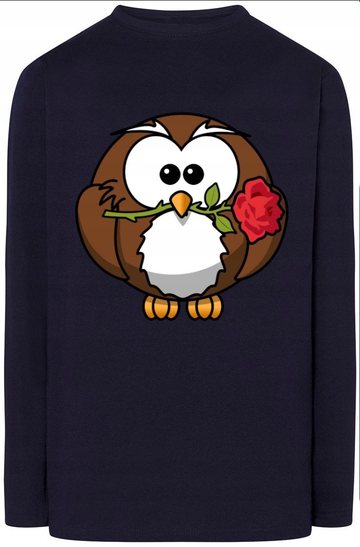 Sowa Walentynki Męska Bluza Longsleeve r.XS