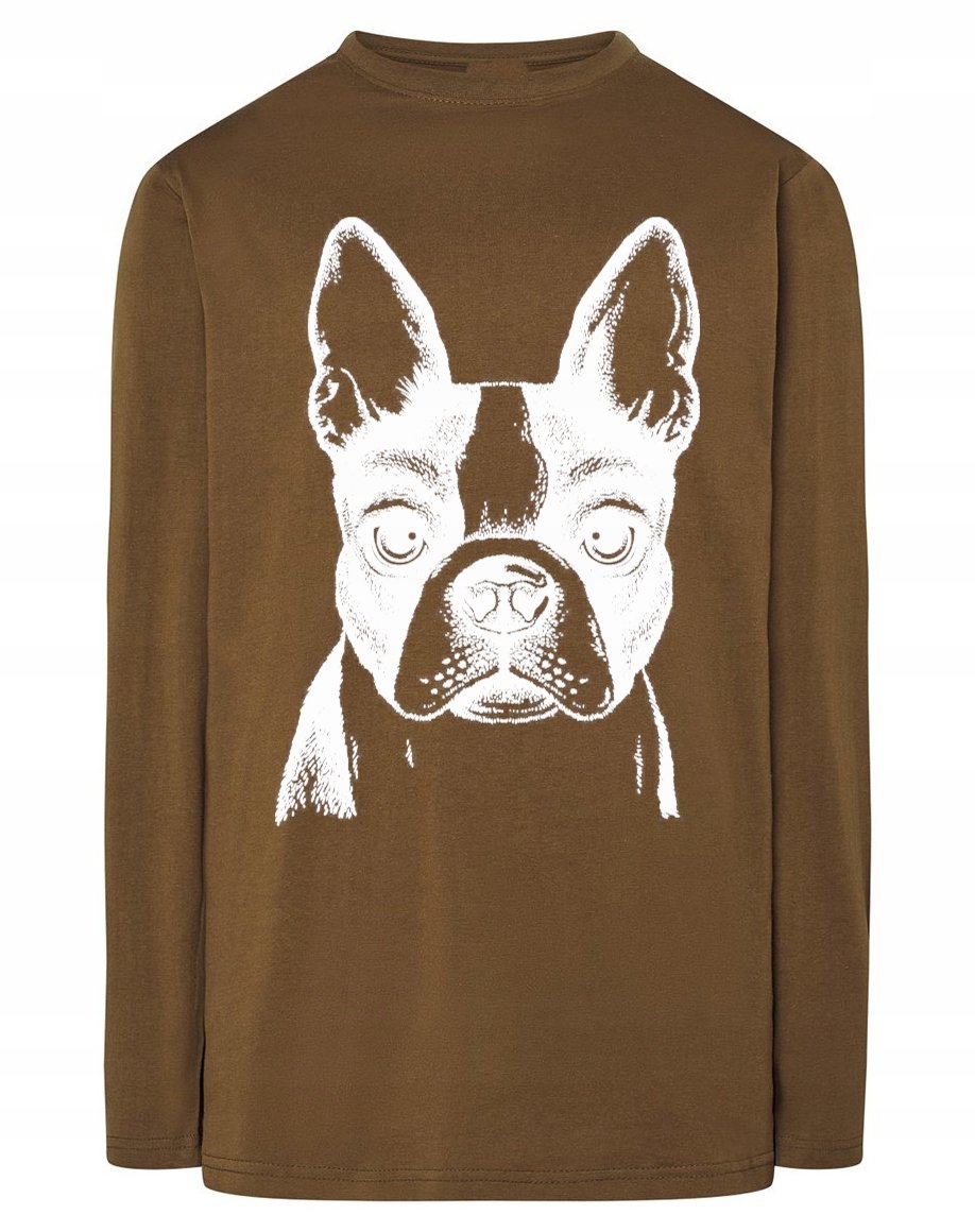 Longsleeve męski nadruk pies Boston Terrier r.3XL