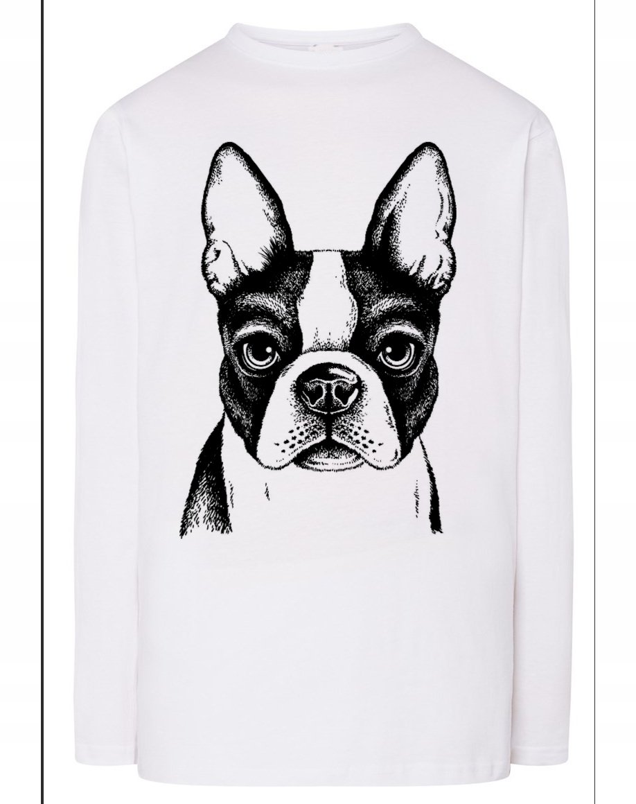 Longsleeve męski nadruk pies Boston Terrier r.XXL