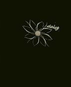 EMILI FIGI DAISY L czarny