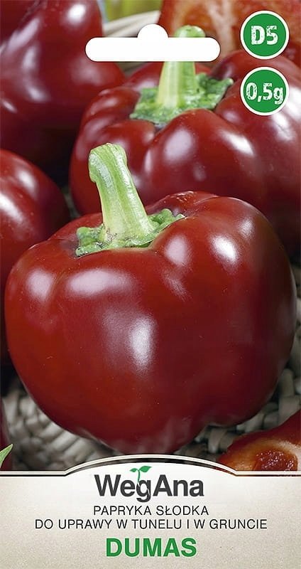 Papryka SŁODKA Dumas 0,5g nasiona papryki WegAna