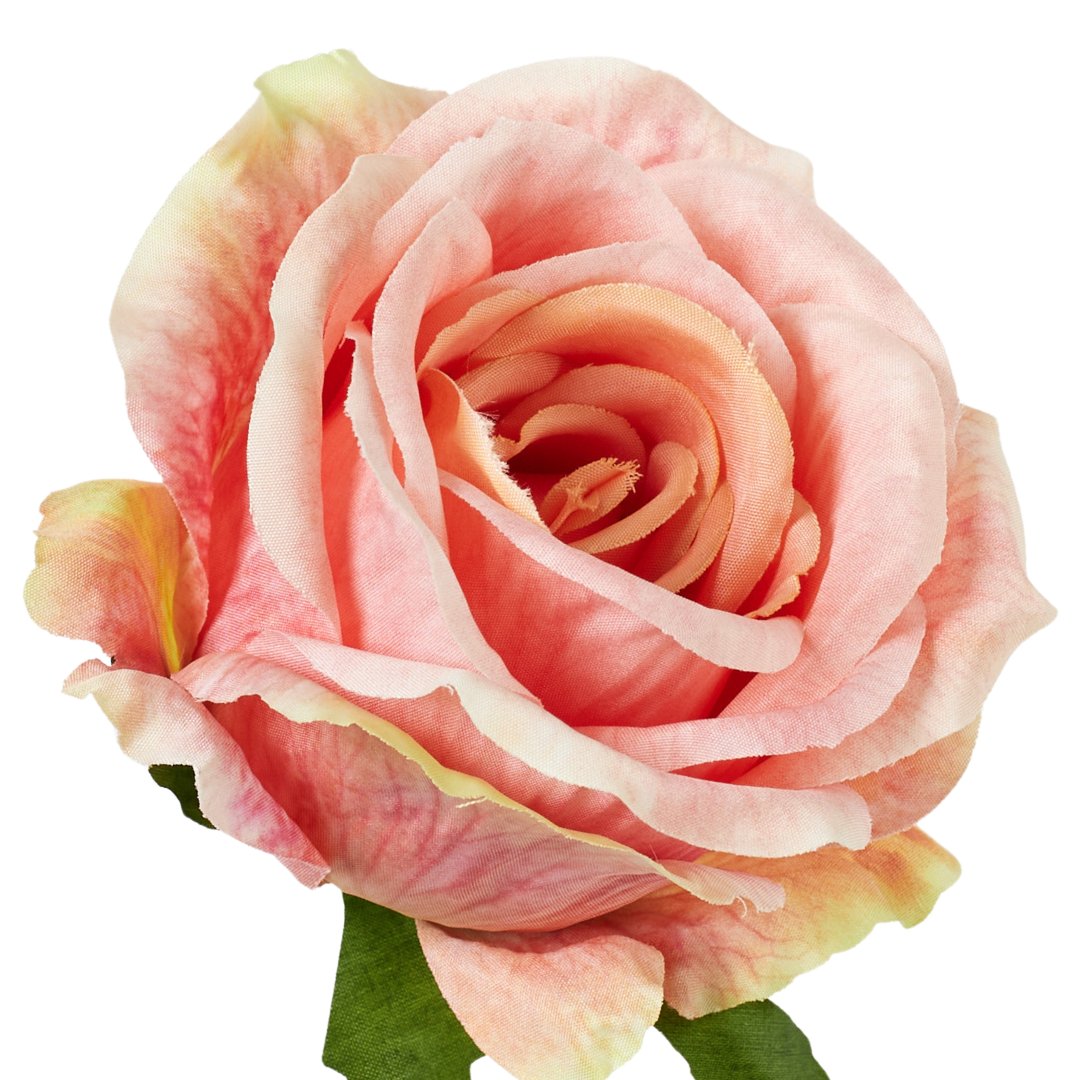 [68b5114] Róża główka wyrobowa 9cm łososiowa-cieniowana