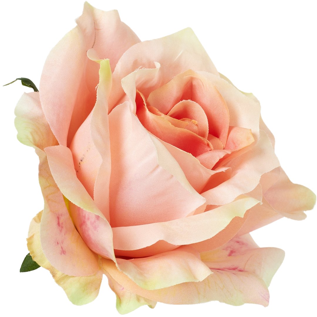 [68b5214] Róża główka rozkwitnięta 10cm łososiowa cieniowana
