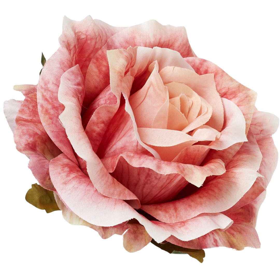 [68b5258] Róża główka rozkwitnięta 10cm jasnoróżowa cieniowana
