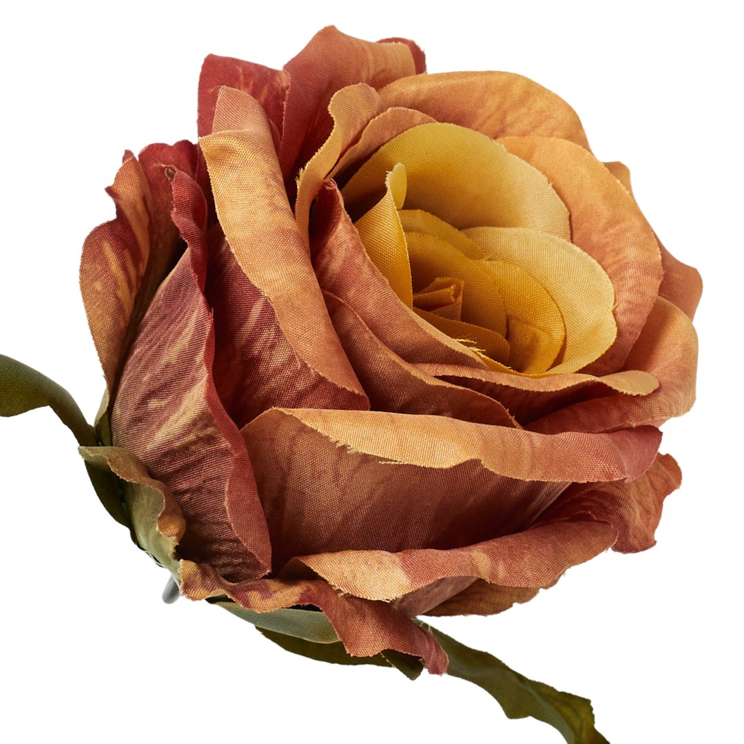 [68b5137] Róża główka wyrobowa 9cm jasnobrązowa