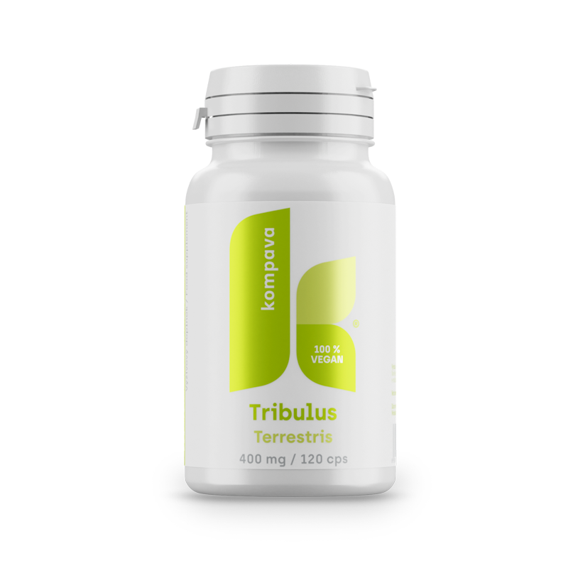 Tribulus Terrestris 400 mg / 120 kaps